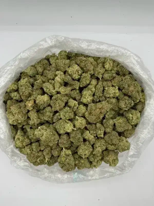 Orange Julius THCa Flower – Sativa Premium (33.1%) imagen 3