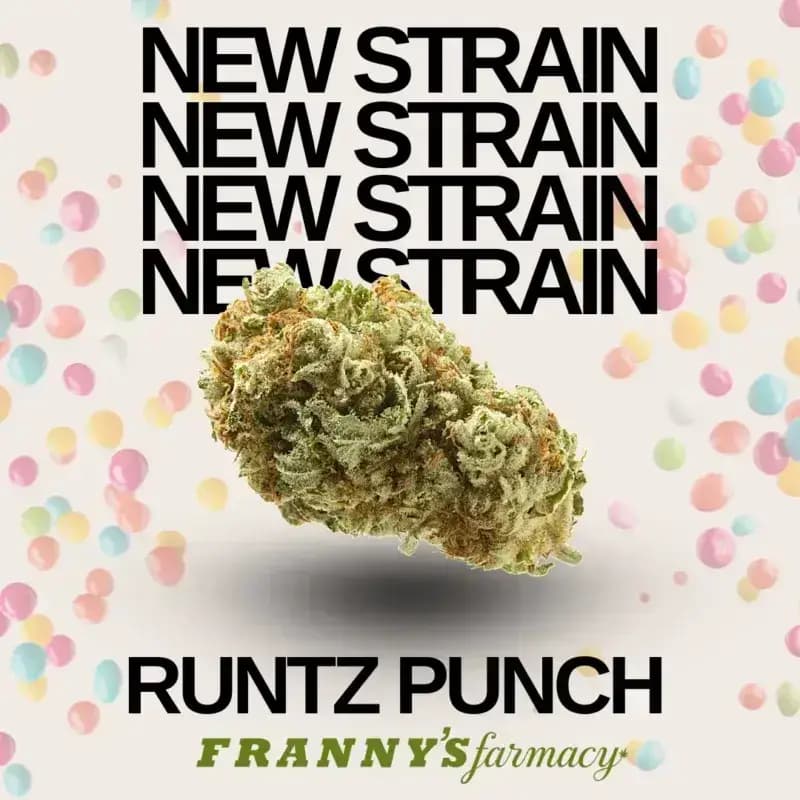 Runtz Punch (Indica 22.3%)