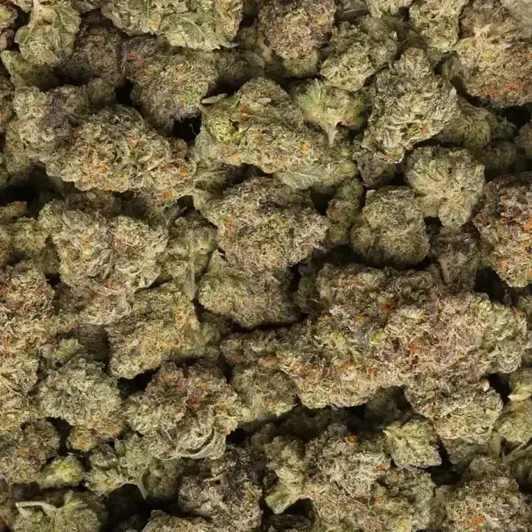 Cherry Popperz- Sativa, 27.10% imagen 2