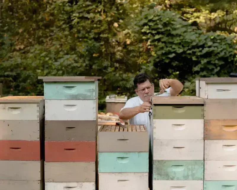 🍯🌿 A Sweet Ritual: Celebrating Tea, Bees & the Botanical Division at Franny’s Farmacy