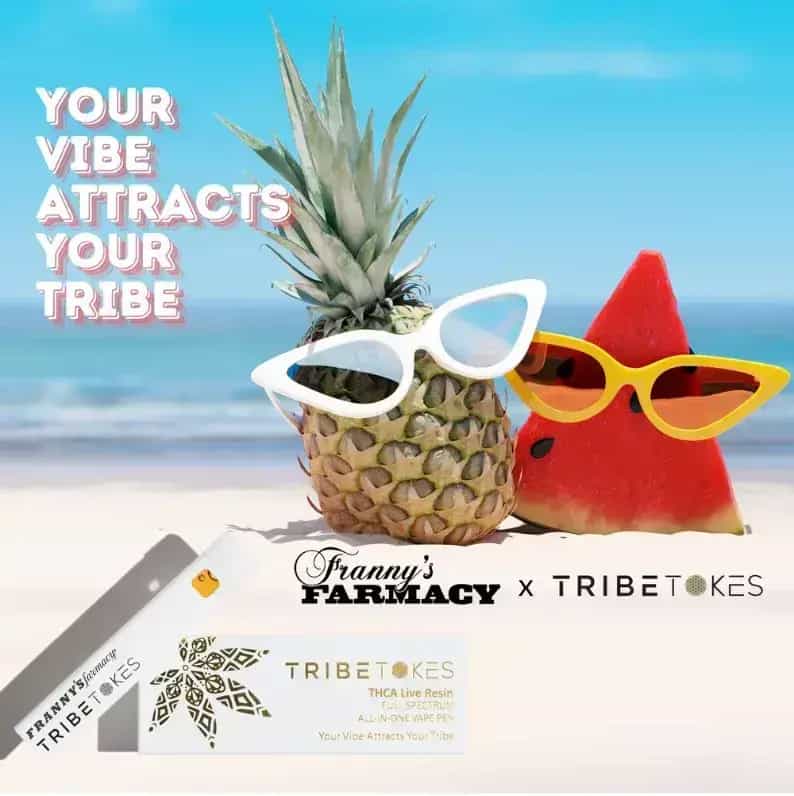 Franny's Farmacy x Tribe Tokes THCa Disposable