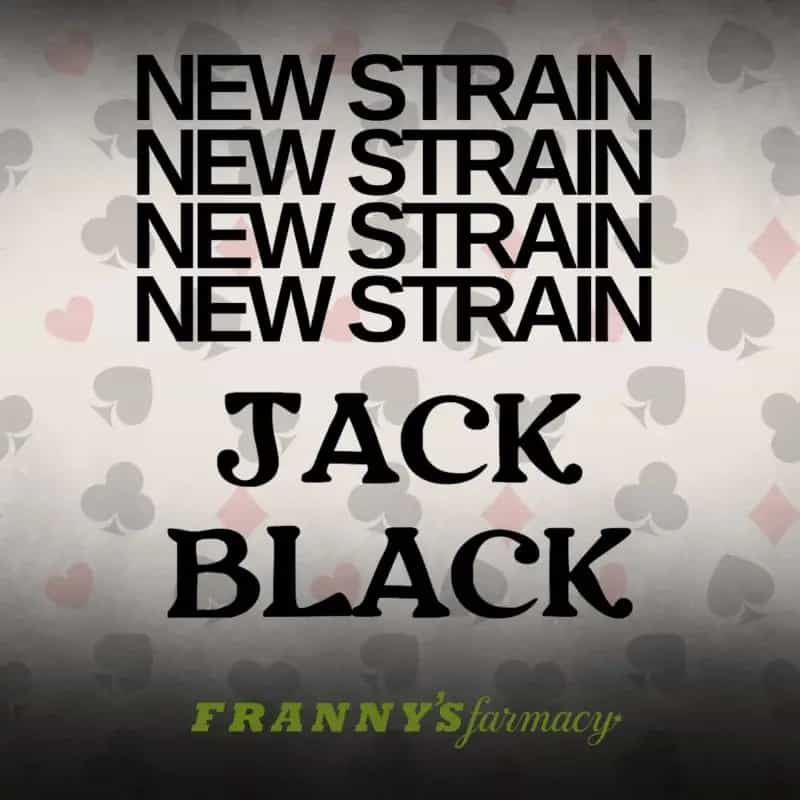 Jack Black THCa Flower – Premium Indica (30.47%)