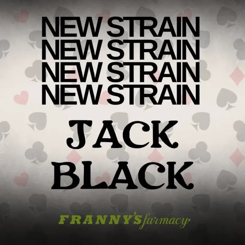 Jack Black THCa Flower – Premium Indica (30.47%)