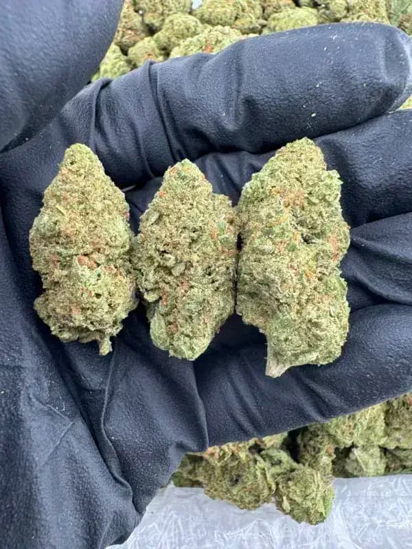 🌕 Full Oz Energy: 15% Off THCa Ounces Every Full Moon