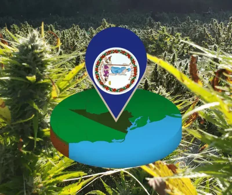 Act Now: Protect Your Full-Spectrum Hemp Experience in Virginia!