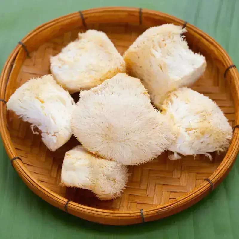 Why Lion’s Mane is a Superfood: Top 3 Health Benefits