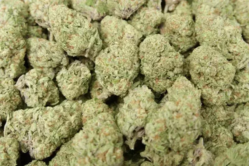 🚚 Now Shipping Nationwide: Shop Premium THCa Flower Online at Franny’s Farmacy