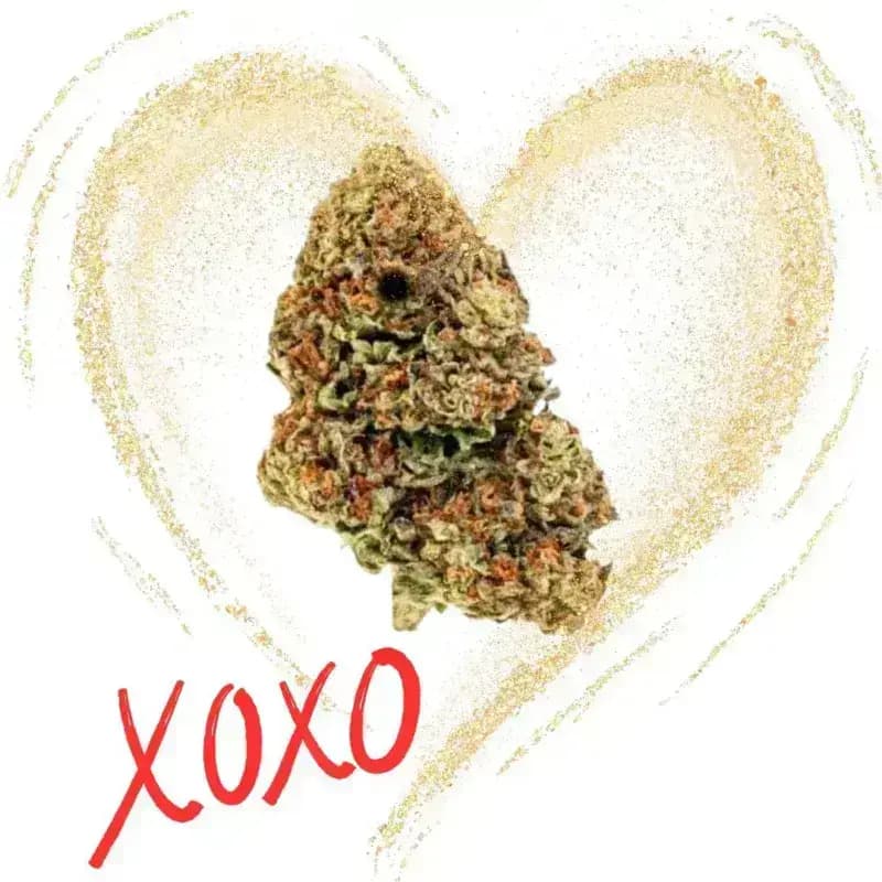The Kind of Flowers your Valentine REALLY Wants: Franny's Wellness Valentine's Gift Ideas
